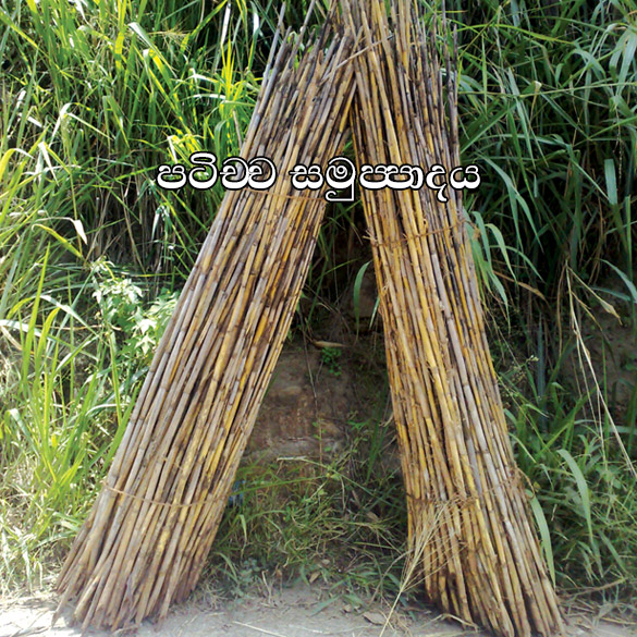 paticca-a.jpg