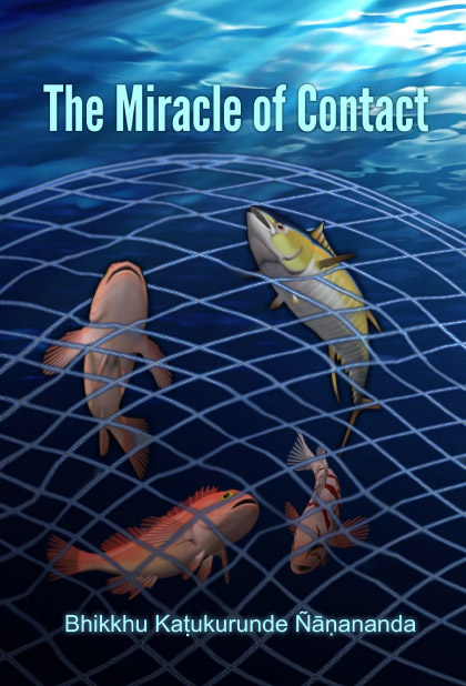 The Miracle of Contact